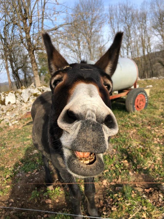 Gite A La Ferme Montesquieu-Avantes Kültér fotó